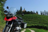 Jerusalem vineyards in NE Slovenia